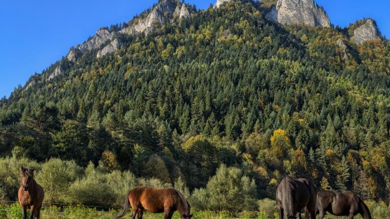 Gmina Czorsztyn (59).jpg