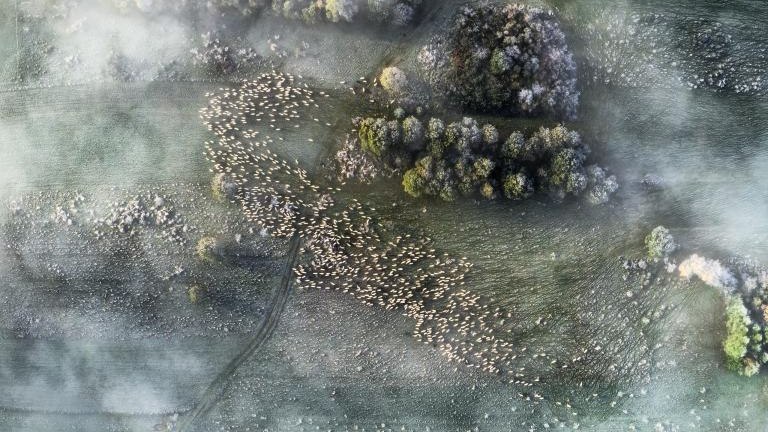 Gmina Czorsztyn (69).jpg