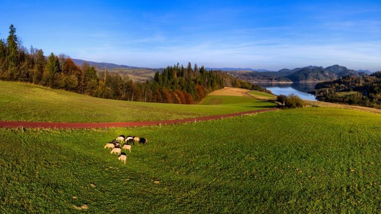 Gmina Czorsztyn (70).jpg