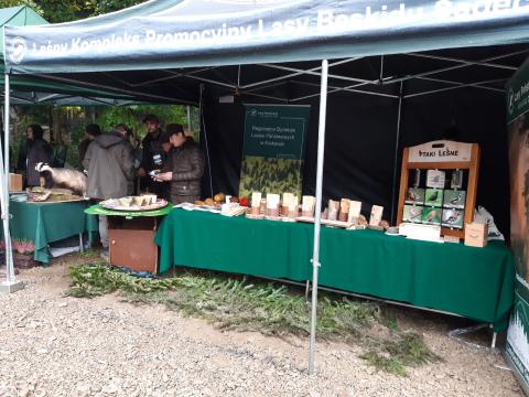 Trwa czwarta edycja akcji #sadziMY