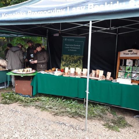 Trwa czwarta edycja akcji #sadziMY