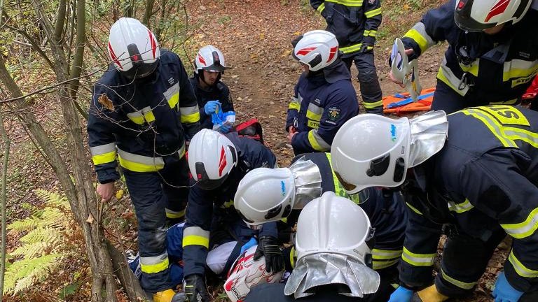 309454859_1259612334889825_6961976730151661228_n — kopia.jpg