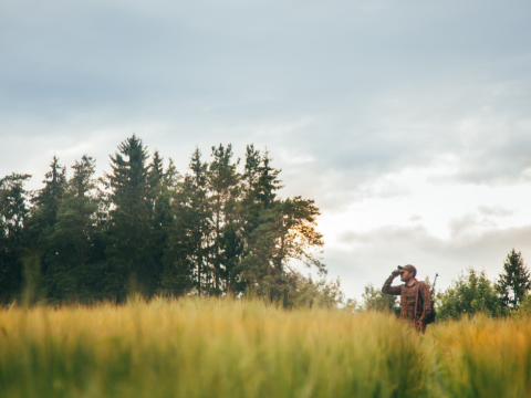 Polowania zbiorowe - obwód łowiecki nr. 224