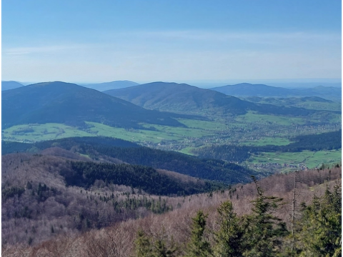 Wędrowanie najpiękniejszymi halami Beskidu Wyspowego!