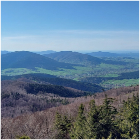 Wędrowanie najpiękniejszymi halami Beskidu Wyspowego!