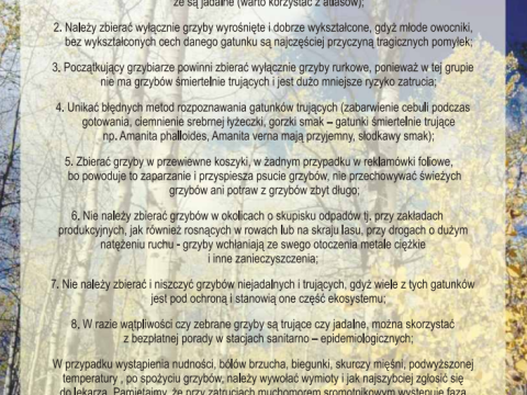 Profilaktyka zatruć grzybami