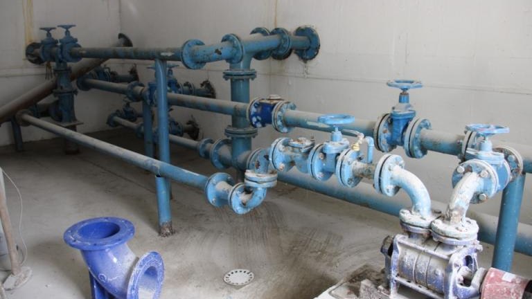 IMG_9866 (Niestandardowy).JPG