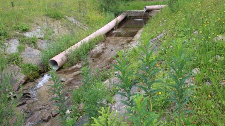 IMG_9878 (Niestandardowy).JPG