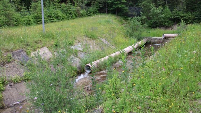 IMG_9879 (Niestandardowy).JPG