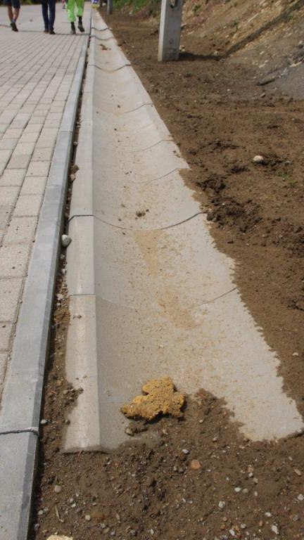 IMG_0091 (Niestandardowy).JPG