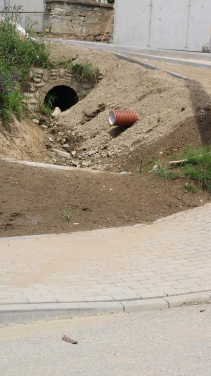 IMG_0095 (Niestandardowy).JPG