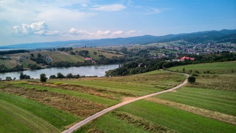 36 (Niestandardowy).jpg