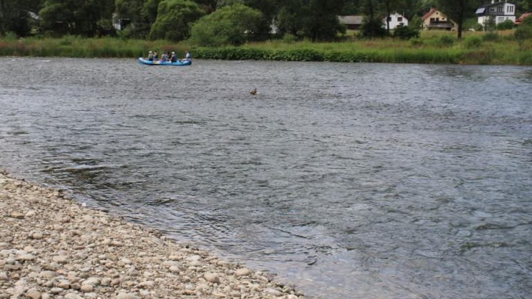 IMG_0030 (Niestandardowy).JPG