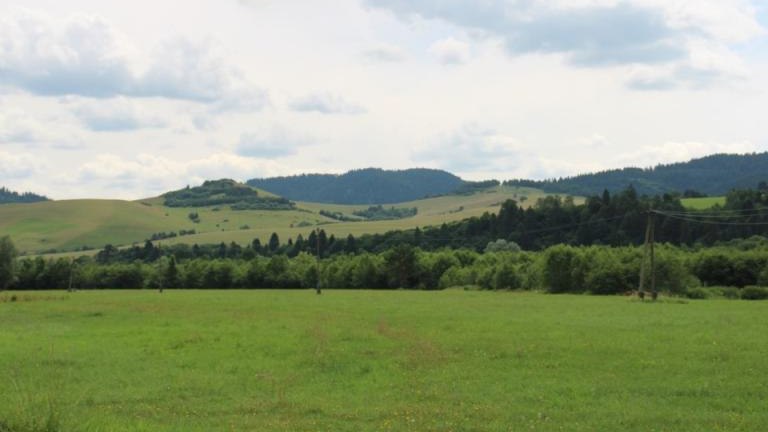 IMG_0035 (Niestandardowy).JPG