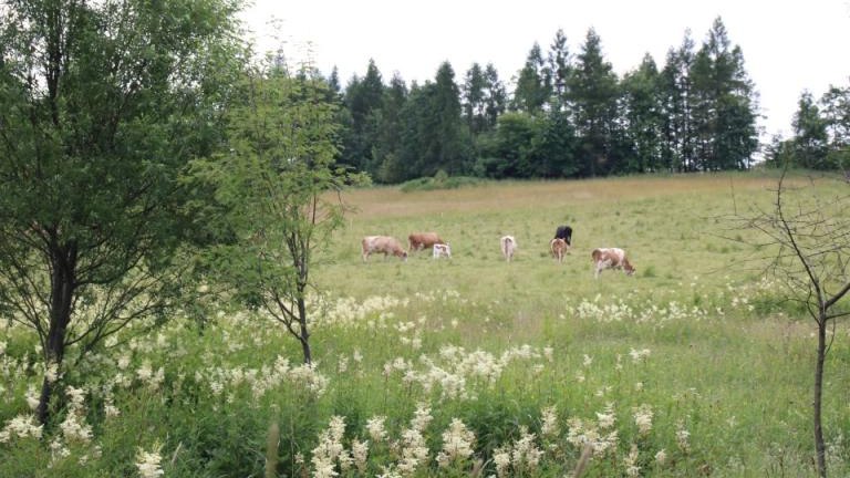 IMG_0109 (Niestandardowy).JPG