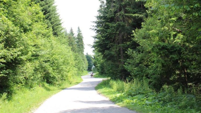 IMG_0137 (Niestandardowy).JPG