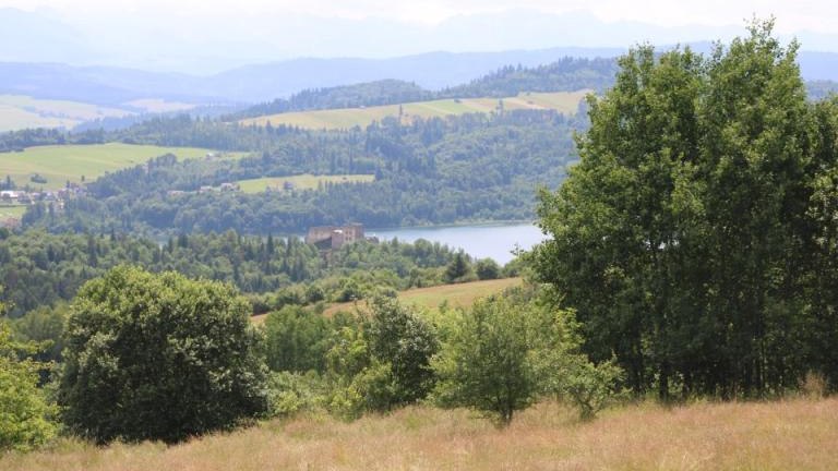 IMG_0138 (Niestandardowy).JPG