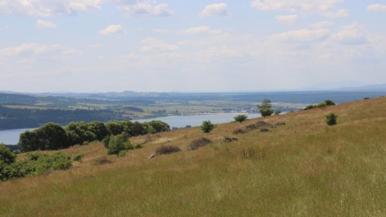 IMG_0140 (Niestandardowy).JPG