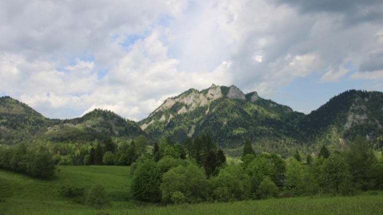 IMG_9102 (Niestandardowy).JPG