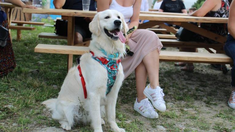 IMG_1575 (Niestandardowy).JPG