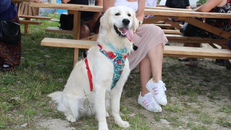 IMG_1576 (Niestandardowy).JPG