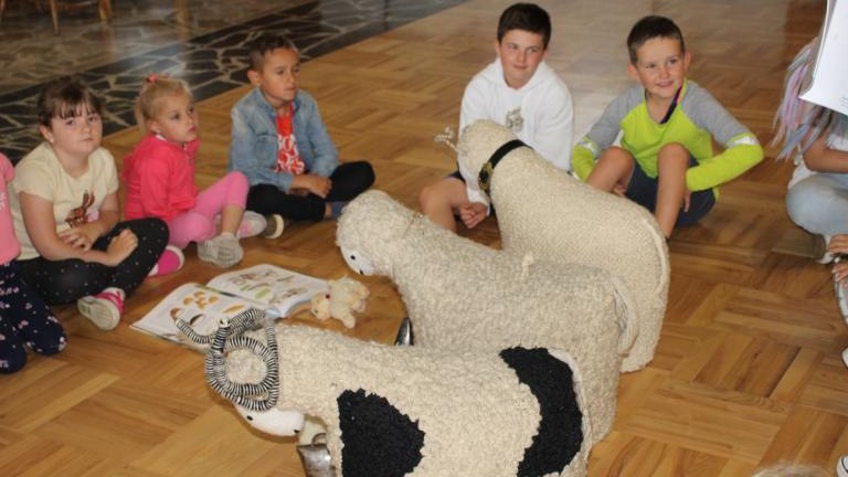 IMG_1742 (Niestandardowy).JPG