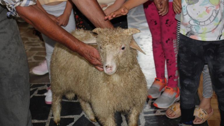 IMG_1789 (Niestandardowy).JPG