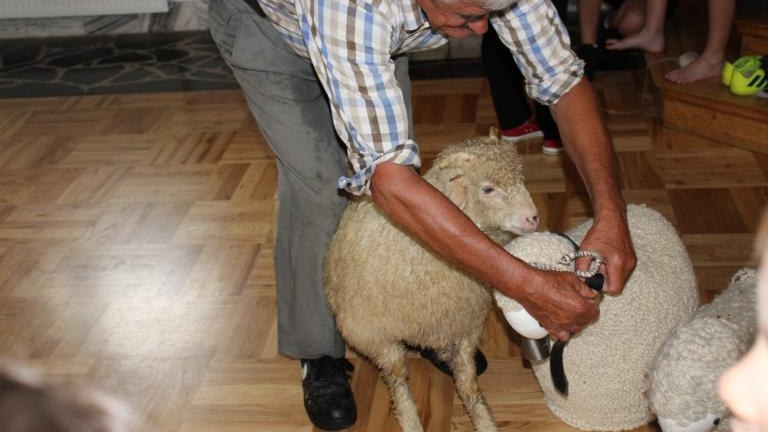 IMG_1799 (Niestandardowy).JPG