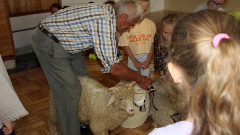 IMG_1800 (Niestandardowy).JPG