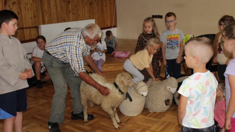 IMG_1802 (Niestandardowy).JPG