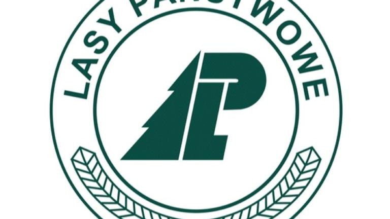 Lasy Państwowe (Niestandardowy).jpg