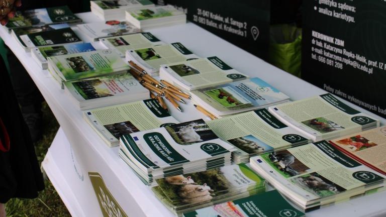 IMG_1912 (Niestandardowy).JPG