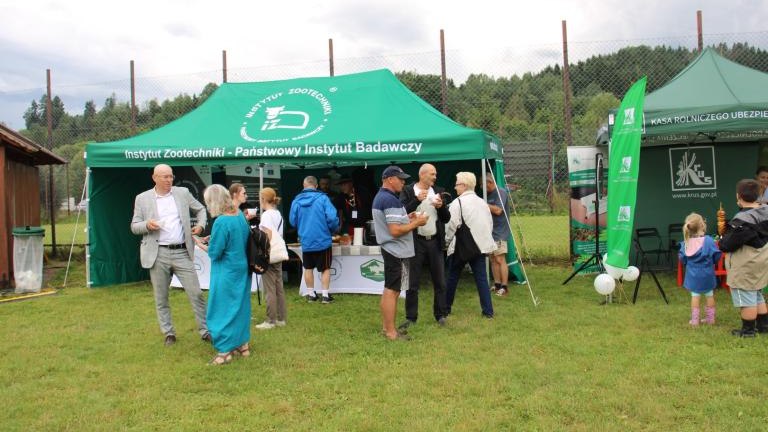 IMG_1951 (Niestandardowy).JPG