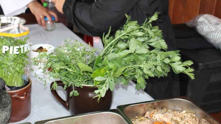 IMG_1966 (Niestandardowy).JPG