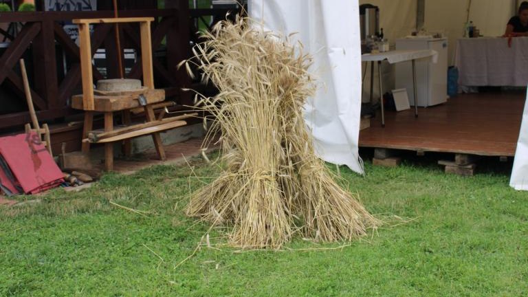 IMG_2122 (Niestandardowy).JPG