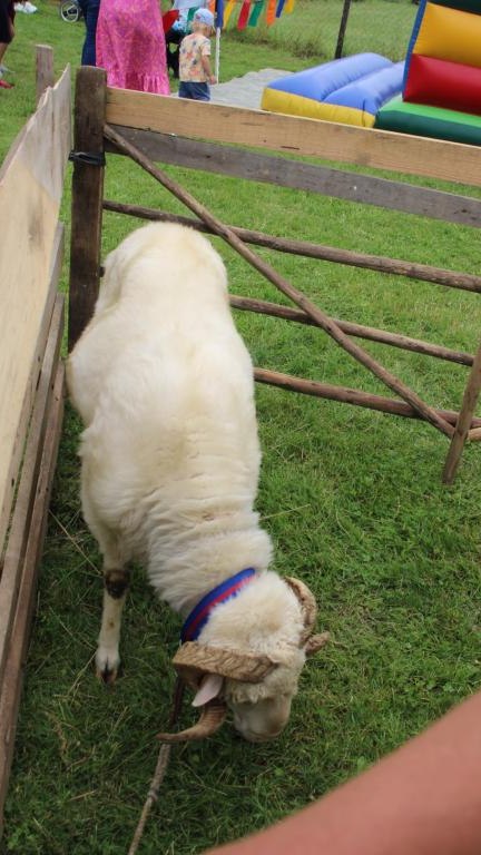 IMG_2145 (Niestandardowy).JPG