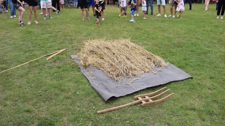 IMG_2165 (Niestandardowy).JPG