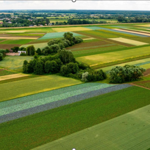 Płatność dla małych gospodarstw