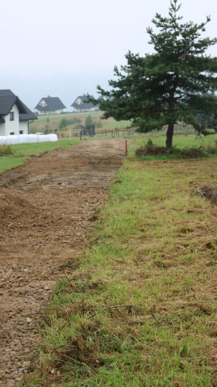 IMG_3922 (Niestandardowy).JPG