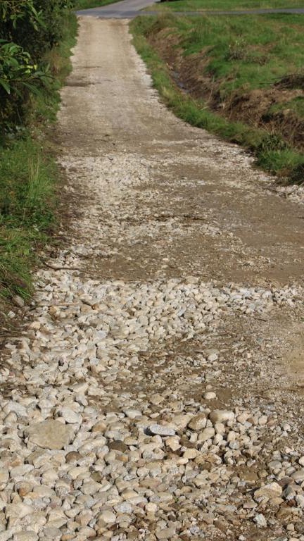 IMG_4016 (Niestandardowy).JPG