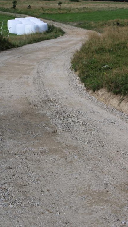 IMG_4037 (Niestandardowy).JPG