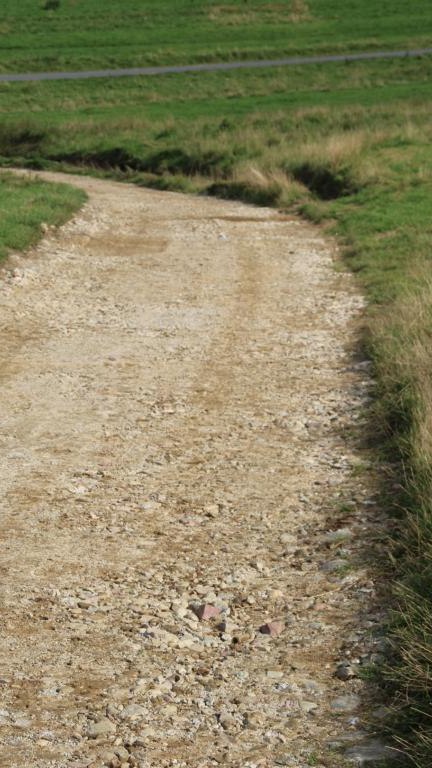 IMG_4052 (Niestandardowy).JPG