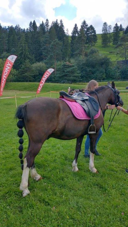 IMG_20230917_1404411650_HDR (Niestandardowy).jpg