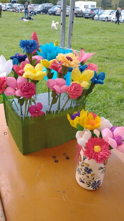 IMG_20230917_143059459 (Niestandardowy).jpg