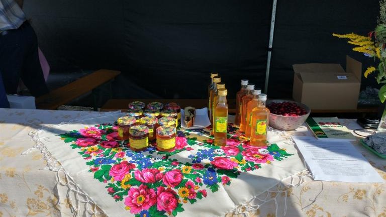 IMG_20230917_143634672_HDR (Niestandardowy).jpg