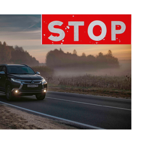 22 września – Dzień bez Samochodu