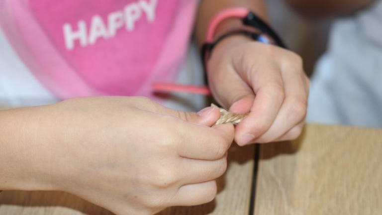 IMG_5127 (Niestandardowy).JPG