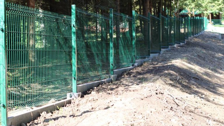 IMG_5212 (Niestandardowy).JPG