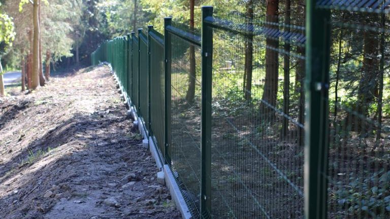 IMG_5213 (Niestandardowy).JPG