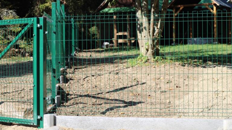 IMG_5216 (Niestandardowy).JPG